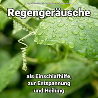 Emotionen für Ausgeglichenheit - Regengeräusche & Naturgeräusche & Regengeräusche sanft