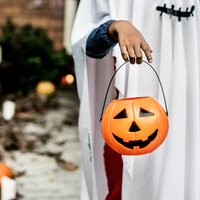 Terror in the Shadows - Halloween Sound Effects Masters, Halloween Music, Halloween Kids & Halloween Music & Halloween Kids & Halloween Sound Effects Masters