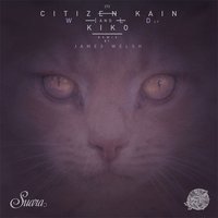 Sundays - Citizen Kain