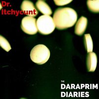 The Instrumental Song - Dr. Itchycunt