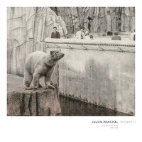 Marchal: Insight XIX - Julien Marchal