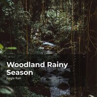 Jungle Tropical Rain - Nature and Rain & Deep Rain Sampling & Jungle Rain