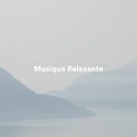 Sublime Space - Oasis de Détente et Relaxation & Bouddha Musique Sanctuaire & Musique Calme et Relaxation