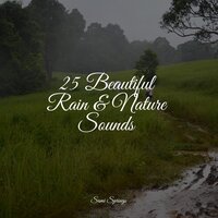 Crashing Ocean Waves - Spa Music Relaxation & Loopable Rain & Study Zone
