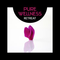Healing Touch of Reiki - Restful Music Consort