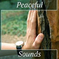 Keep Calm - Sounds of Nature White Noise for Mindfulness