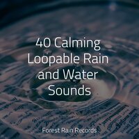 Static Rains - Gentle Rain Makers & Sounds Of Nature : Thunderstorm, Rain & Rain Man Sounds