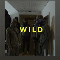 Wild - Ajay & BURUKLYN BOYZ