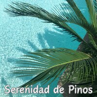 La planta - Música Religiosa y Curativa