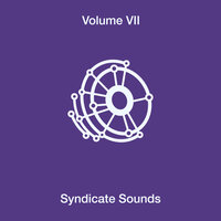 From the Back - Syndicate Sounds