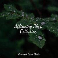 Rainfall Melodies - Bedtime Baby & Meditação Maestro & Spa & Spa