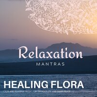Relaxing Summer Nights - Sanct Devotional Club