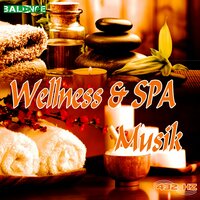 Wellness & Spa Musik Step 3 - 432 Hz