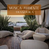 Chillout: Massagem Relaxante - Meditação e Espiritualidade Musica Academia