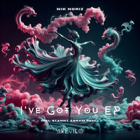 I've Got You - Nik Noriz