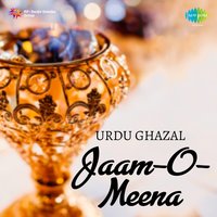 Nayi Log Honge - Iqbal Ahmed Siddiqi & Vandana Bajpai