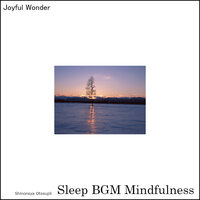 Peaceful Melodies - Sleep BGM Mindfulness