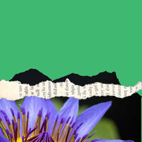 Calm (Relaxing Days) - Office Music Playlist