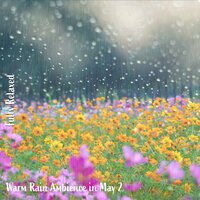 Warm Rain Ambience in May, Pt. 1 - Steve Brassel