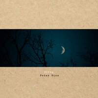 Novae - Peter Ries