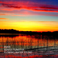 Sleep Easy Music - Classical Music For Relaxation & White Noise Baby Sleep Music & Nature Sounds Nature Music