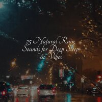 Rainy Summer - Classical Study Music & Nursery Rhymes & Ambient Nature Project