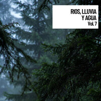 Mantra of Rain - Musica relajante & Lluvia del Bosque & Sonido Del Bosque y Naturaleza
