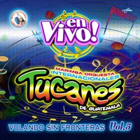 Del Tingo al Tango - Marimba Orquesta Internacionales Tucanes de Guatemala