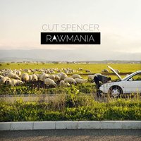 Dumbrava Sibiului - Cut Spencer