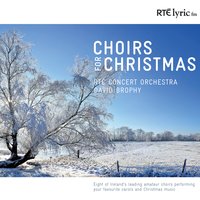 Jingle Bell Swing - David Brophy & RTE Concert Orchestra & Sacred Heart School Tullamore