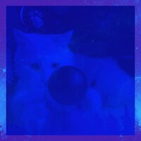 Чувство (Кошки) - Кошачья музыка Радио