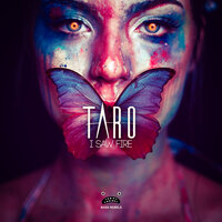 I Saw Fire - Taro