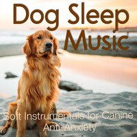 Puppy Lap Nap - RelaxMyDog