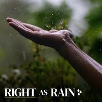Rain in the Mountains, Pt. 5 - Loopable Rain Sounds
