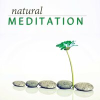 Relaxing Nature Sounds - Nature Meditation Academy