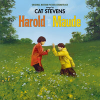 Dialogue 1 (I Go To Funerals) - Cat Stevens