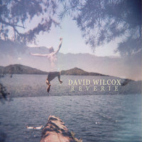 Buster - David Wilcox