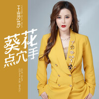 葵花点穴手 - 王莎莎