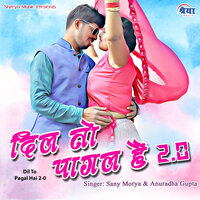 Dil To Pagal Hai 2-0 - Anuradha Gupta & Sany Morya