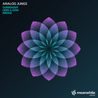 Bridge - Analog Jungs