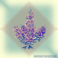 Your Dream Only - Bodo