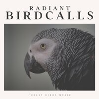 Vivid Chorales - Life Sounds Nature