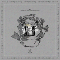 Too Busy - NOY & Sophiegrophy & Needs No Sleep