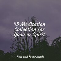 Relaxation Therapy - Relaxation Sleep Meditation & Buddhist Meditation Music Set & Academia de Música con Sonidos de la Naturaleza