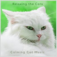 Cats and Families - Calming Cat Music