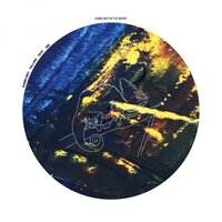 Falling - Kamelneo & QM