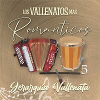 Mis Años Maravillosos - Jerarquía Vallenata