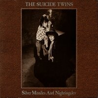 Coming Down Slow - The Suicide Twins