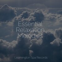 Calm Down - Tranquil Music Sound Of Nature & Binaural Creations & Nature Sound Collection