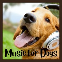 Joyful Paradise - Music for Dogs & Music for Dogs Peace & Relaxing Puppy Music & Calm Pets Music Academy